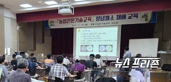 충남 계룡시 농업기술센터는 취미농업인 대상으로 양념채소 재배 교육을 추진했다./ⓒ계룡시