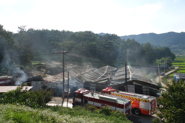 24일 오후 2시 58분쯤 충남 부여군 옥산면 홍연리의 양계장에서 불이 나 신고를 받고 출동한 소방관들이 진화작업을 벌이고 있다./ⓒ부여소방서