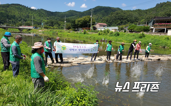 산청군 새마을 남,여 지도자회원  EM흙공 만들어 수질정화 샛강살리기 모습  뉴스프리존 =허정태 기자