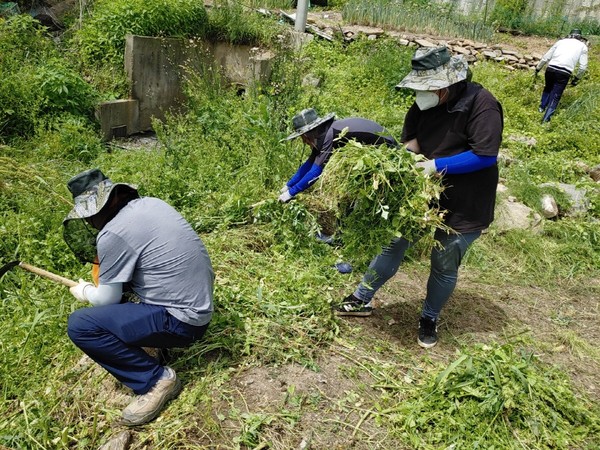 ‘드림하천 매니저’ 활동 현장(사진=고양시)