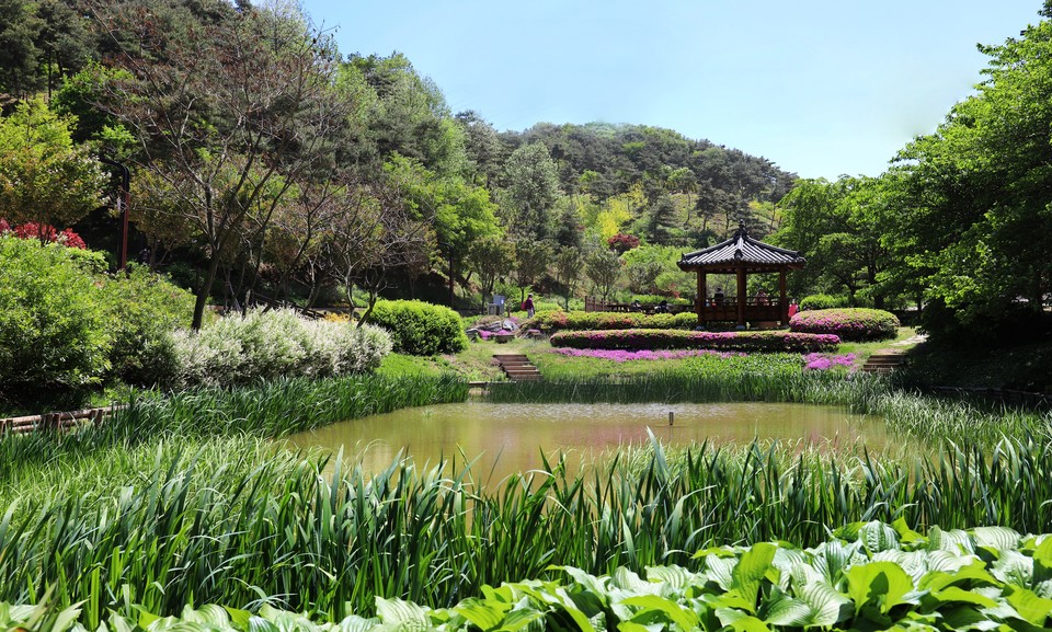 충남도가 녹색환경 보전‧관리 기반 확충을 위해 안면도수목원 등 공립수목원 4개소에 14억 원을 투입한다./ⓒ충남도청