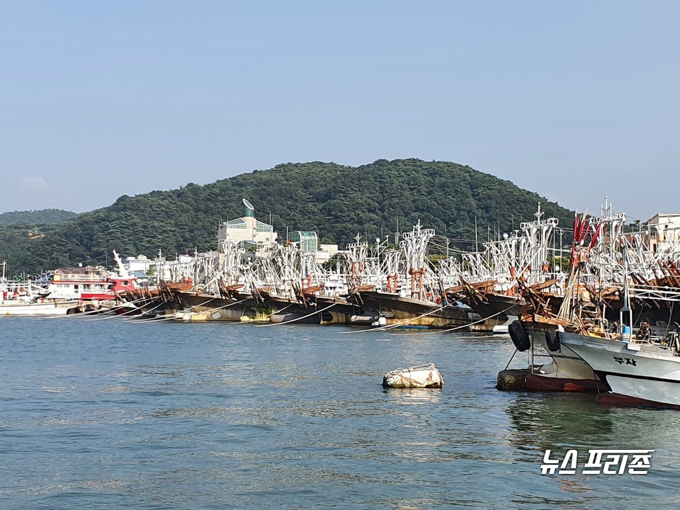 [보령=뉴스프리존]이진영 기자= 폭염경보가 발효된 30일 오후 충남 보령시 대천항에 폭염으로 출항하지 못한 선박들이 정박해 있다. Ⓒ이진영 기자