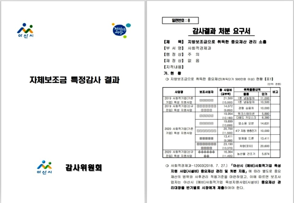 아산시 자체보조금 특별감사 결과 보고서./ⓒ김형태 기자