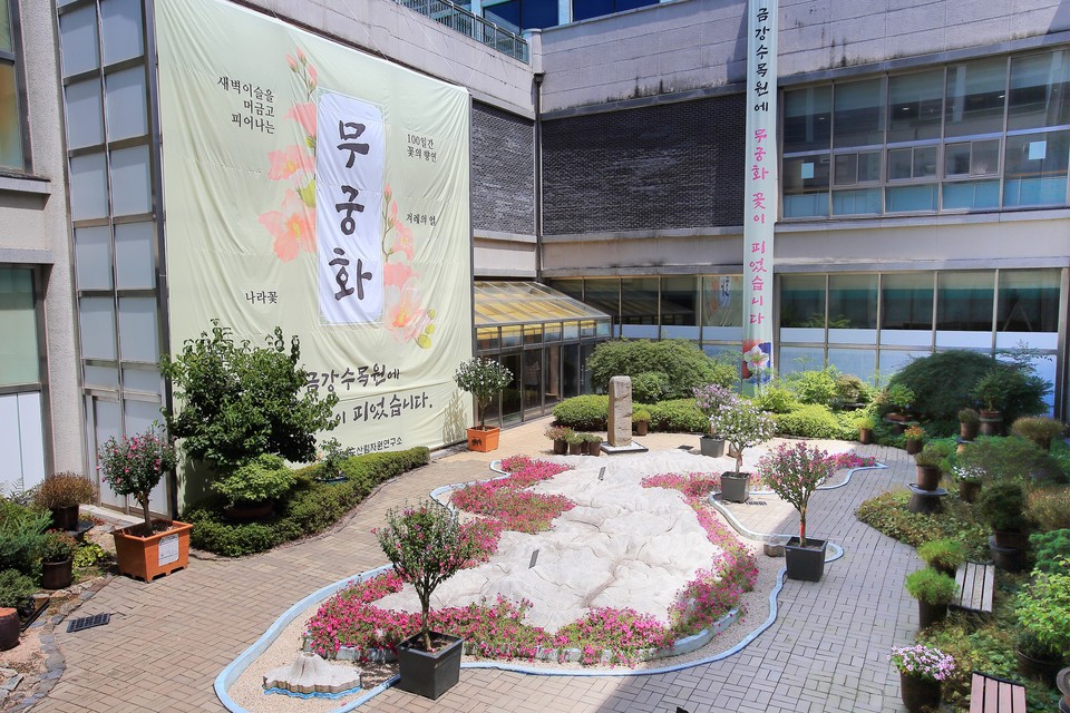 충남도 산림자원연구소는 3일 금강수목원 내 1000여 본의 무궁화꽃이 활짝 폈다고 밝혔다./ⓒ충남도청