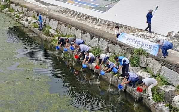 합천군 삼가면 치어방류 행사     합천군.