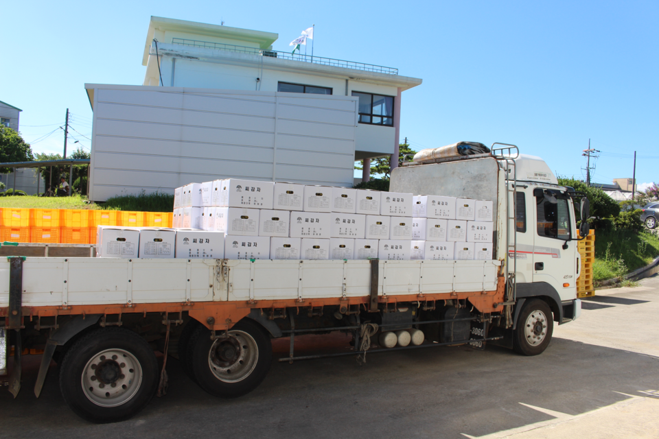 충남도 농업기술원 종자관리소는 최근 ‘무병 씨감자 원원종’ 1만800kg(수미 7326㎏, 금선 1431㎏, 추백 2046㎏)을 농가에 보급했다고 5일 밝혔다./ⓒ충남도청