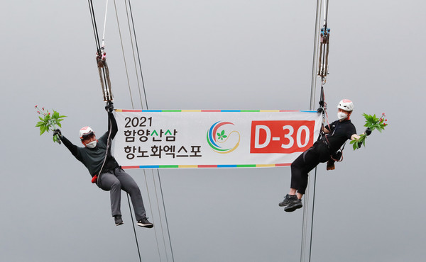 D-30 '2021함양산삼항노화엑스포'     함양군