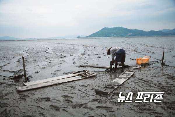 순천만 갯벌과 뻘배 / ⓒ 이문석 기자