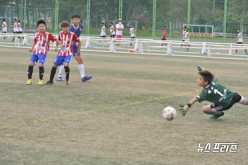 박지성 전 국가대표 축구선수와 함께하는 ‘만세보령머드 JS컵 U12&11 한국유소년축구대회’ 모습./ⓒ박한복기자