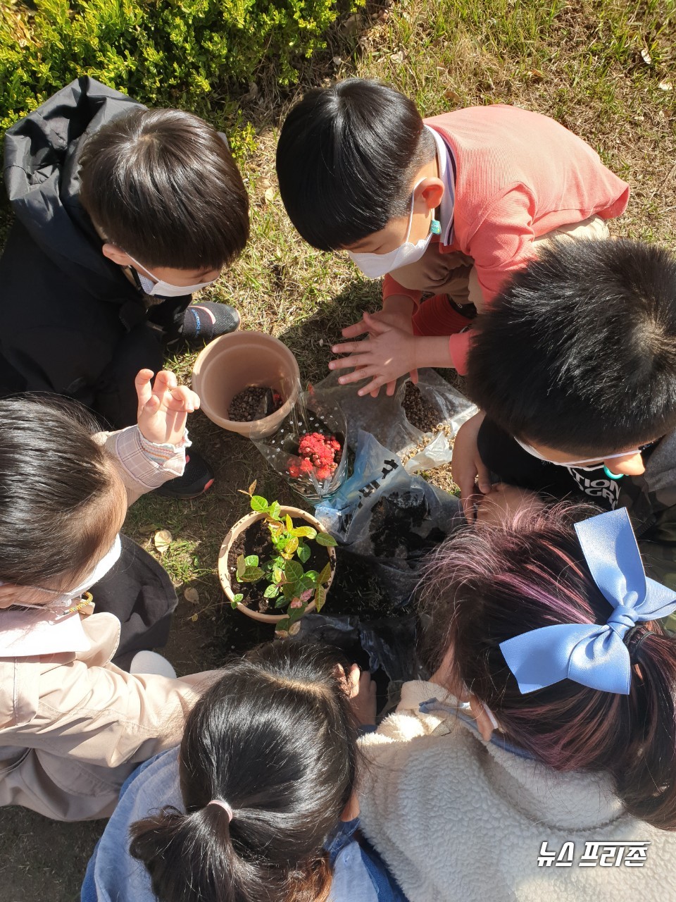 상반기 힐링치유원예 체험 장면.Ⓒ보령시청