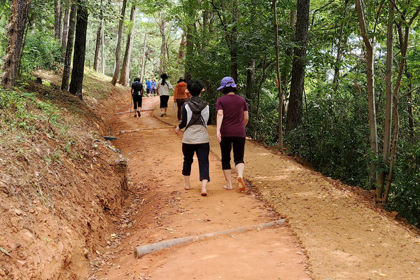 서산시 부춘산을 찾은  시민들이 맨발로 황톳길을 걸으며 자연의 정취를 만끽하고 있다./ⓒ서산시청