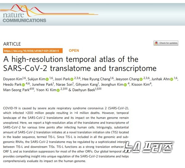 신종 코로나 바이러스감염증(COVID-19)의 원인인 사스코로나바이러스-2(SARS-CoV-2)의 감염 후 시간에 따른 번역체 및 전사체의 양상을 측정한 고해상도의 지도를 제작한 서울대 백대현 교수팀 등 국내 연구는 국제학술지 네이처 커뮤니케이션스(Nature Communications)에 8월 25일 게재됐다./ⓒ네이처 커뮤니케이션스·서울대 백대현 교수팀