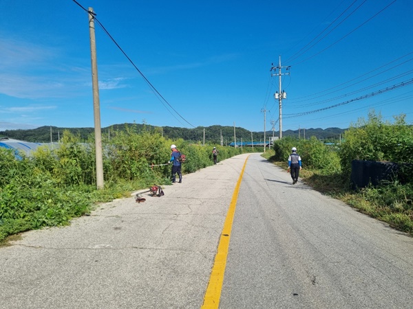 연천군(군수 김광철)은 쾌적하고 안전한 도로환경 조성을 위해 추석맞이 연천군 내 513km 구간 도로변 정비작업을 실시한다고 3일 밝혔다. 사진제공=연천군청