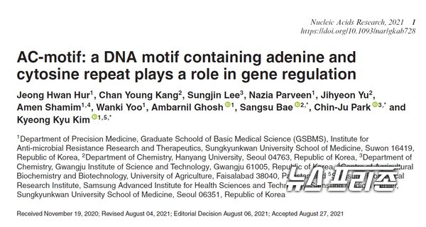 세포 내 새로운 DNA 구조(AC-motif)가 존재하며 이 구조가 유전자 발현을 조절한다는 사실을 규명한 성균관대 김경규 교수팀 등 국내연구는 핵산분야 국제학술지 뉴클릭 액시드 리서치(Nucleic Acids Research)에 9월 1월 게재됐다./ⓒ뉴클릭 액시드 리서치·성균관대 김경규 교수팀