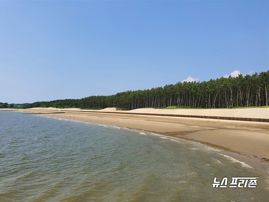 자료사진.(사진=서천군청)