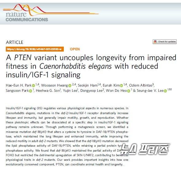 가늘고 길게 사는 돌연변이체에 종양 억제 유전자(PTEN)의 특정 돌연변이를 도입해 건강한 장수를 유도할 수 있다는 연구결과를 제시한 카이스트 이승재 교수팀 등 국내연구는 국제학술지 네이처 커뮤니케이션즈(Nature Communications)에 9월 24일 게재됐다.(자료=네이처 커뮤니케이션즈·카이스트 이승재 교수팀)