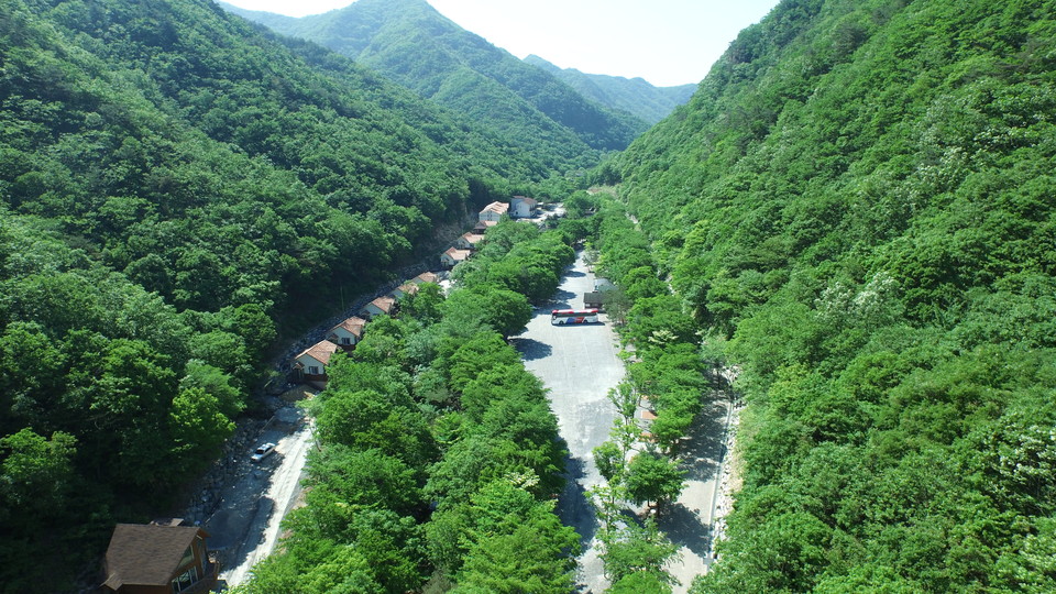 금산군 산림타운.(사진=충남도청)