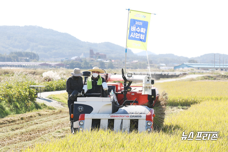 김동일 보령시장이 벼 수확 시연을 하고 있다.(사진=보령시청)