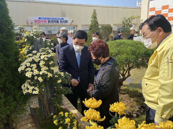 창원국화 분재 전시회를 둘러보고 있는 허성무 시장 창원시