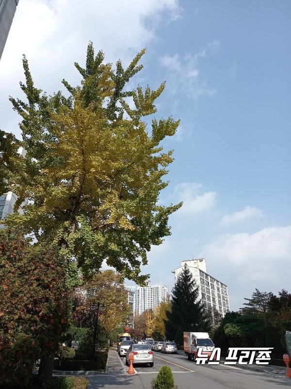 맑은 서울 하늘 모습