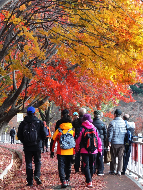 경기 소금강(小金剛) 소요산의 단풍 사진제공=동두천시청