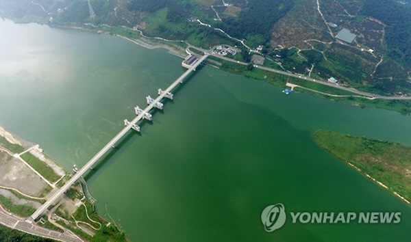 '한반도 대운하' 사업에서 사실상 이름만 변경한 '4대강 사업'에 혈세 22조원이 들어갔으나, 그 목적이라는 홍수 예방, 수질개선, 용수 확보 등엔 전혀 기여하지 못했다. 특히 매년 여름 때만 되면 4대강 유역에서 녹조가 창궐했고 물고기들이 떼죽음당해 수면 위로 떠올랐다. 사진=연합뉴스