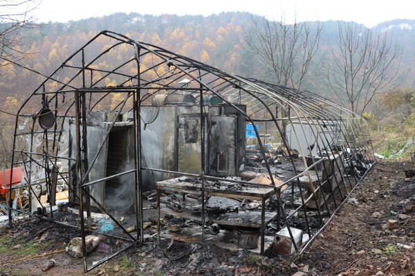 21일 낮 12시 29분쯤 충남 서천군 문산면 금복리 한 농가 비닐하우스에서 불이 나 27분만에 꺼졌다.(사진=서천소방서)