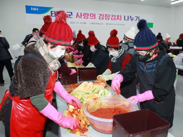 농가주부모임 태안군연합회 회원들이 소금에 절인 배추에 양념을 버무리고 있다.(사진=태안군청)