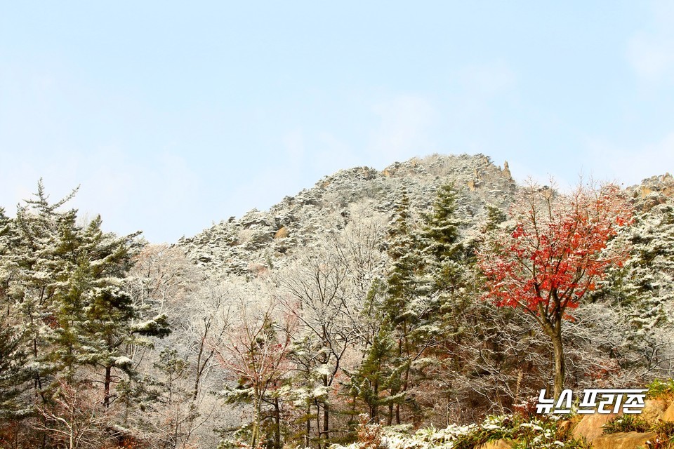 충남 홍성군 용봉산 설경.(사진=박성민기자)