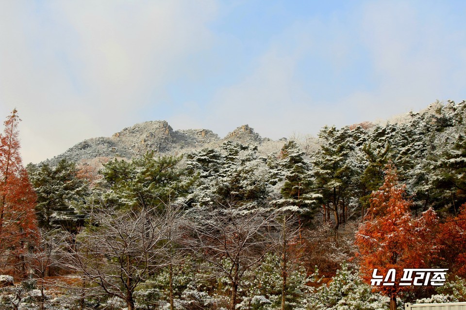 충남 홍성군 용봉산 설경.(사진=박성민기자)