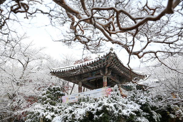 서산 개심사 설경.