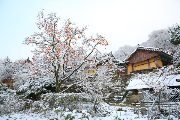 서산 개심사 설경.(사진=서산시청)