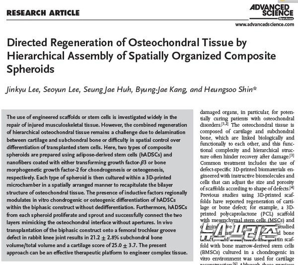 골과 연골로 자발적으로 분화될 수 있는 인공조직을 만드는 기술을 개발한 한양대 신흥수 교수팀 연구는 국제학술지 어드밴스드 사이언스(Advanced Science)에 11월 21일 게재됐다.(자료=어드밴스드 사이언스·한양대 신흥수 교수팀)