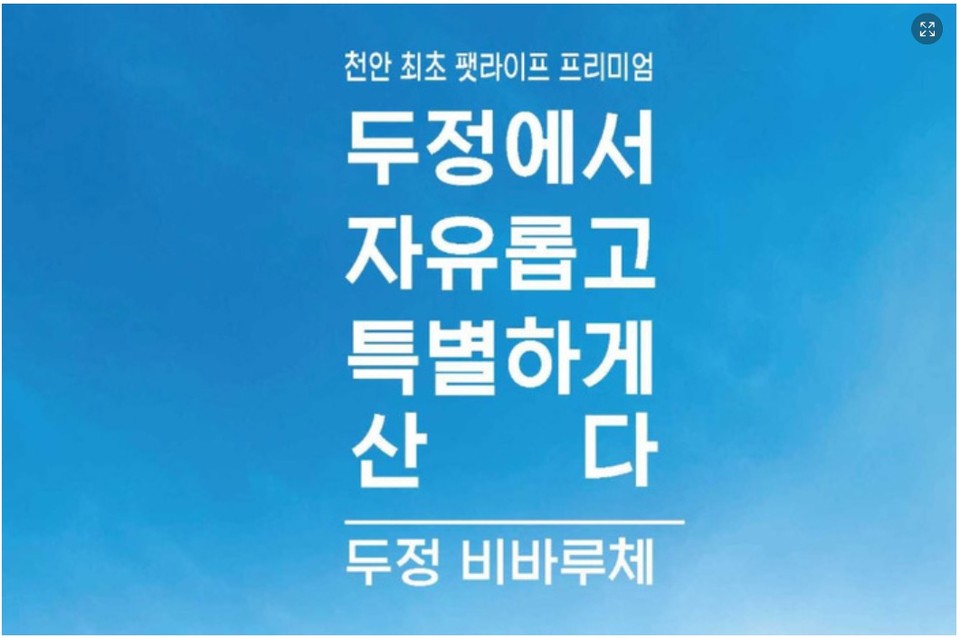 성정 비바루체를 두정동에 소재한 것처럼 포장한 광고물(사진=천안아산기자협회).