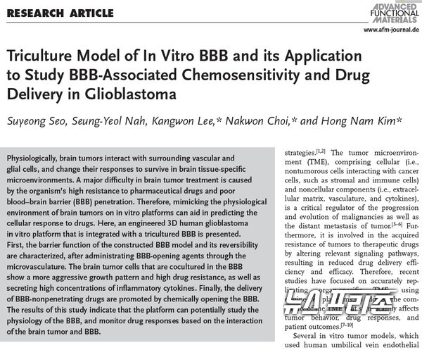혈관-뇌 장벽을 모사한 체외 플랫폼 기술을 개발한 한국과학기술연구원 김홍남 박사팀 등 국내 연구는 국제학술지 어드밴스드 펑셔널 머티리얼즈(Advanced functional materials)에 11월 5일 게재됐다.(자료: 어드밴스드 펑셔널 머티리얼즈·한국과학기술연구원 김홍남 박사팀)