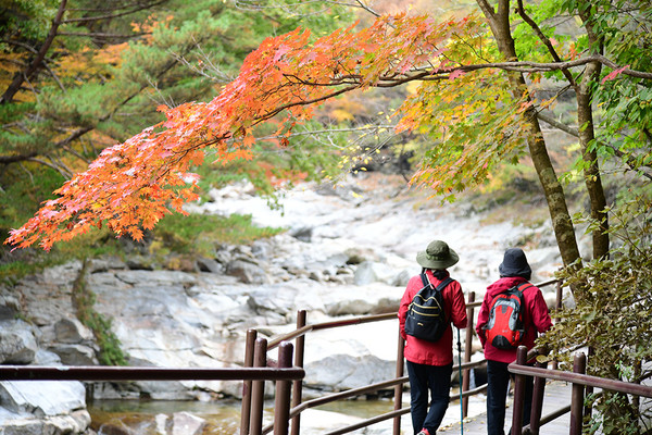 지리산 국립공원 골짜기들 중 가장 계곡미가 뛰어난 지리산 뱀사골 전경